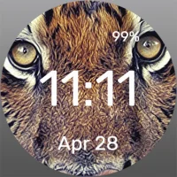 Interested Tiger - Watch Face